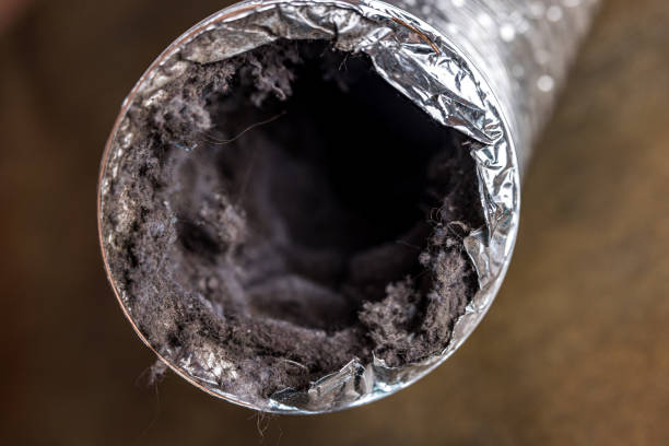 Best HVAC Air Duct Cleaning  in Palouse, WA
